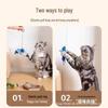 Kedi – Kedi Oyuncakları
