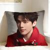Wang Anyu Actor Pillow Case  Graphic Pillow Cover Funny Pillowcases For Sofa Home Decor