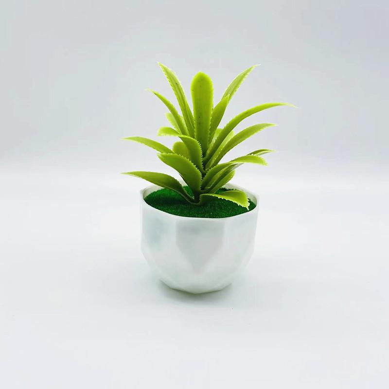 Plastic Succulent Fake Plant Pot For Home Decor And Gift