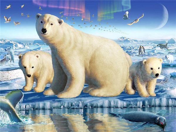 Full Square/round Diamond Painting Embroidery Polar Bear Home Decor Mosaic Cross Stitch Arctic Animal Wall Sticker
