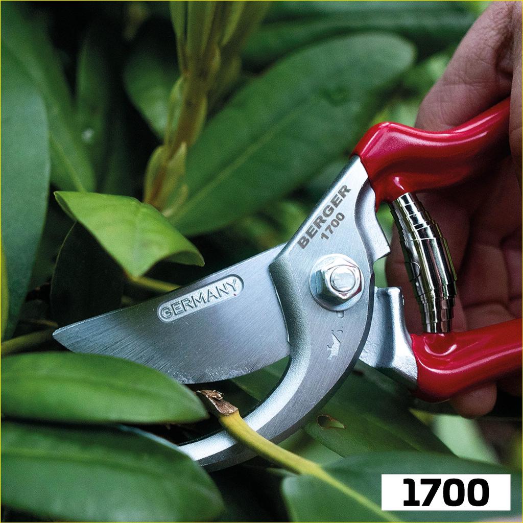 BERGER Pruning Shears 210mm Blade Cm Powerful 2cm Branch (Germany) Cutting!