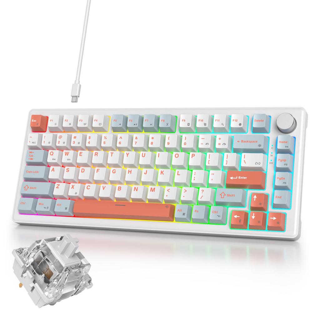 Ussixchare Blue Wired Mechanical Keyboard  Keyboard for Gaming  Volume Knob  75% Customizable Gaming Keyboard  Gasket Mount Construction, RGB