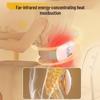 Hezheng Smart Warming Lumbar & Abdominal Massager