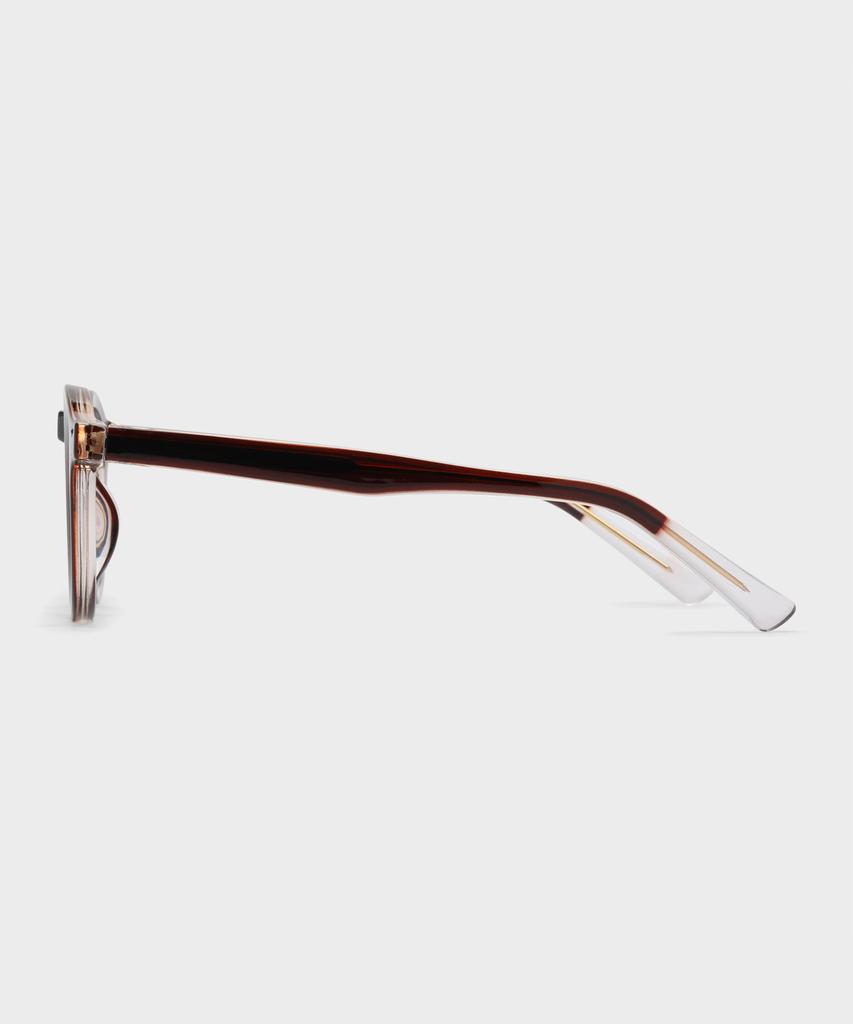 Nonpig Max_Br Eyeglass Frames
