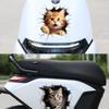 3D Cat Car Stickers Auto Body Bumper Cover Scratches Motorcycle Front Cowl Fuel Tank Decor Removable Animal Vehicle Accessories