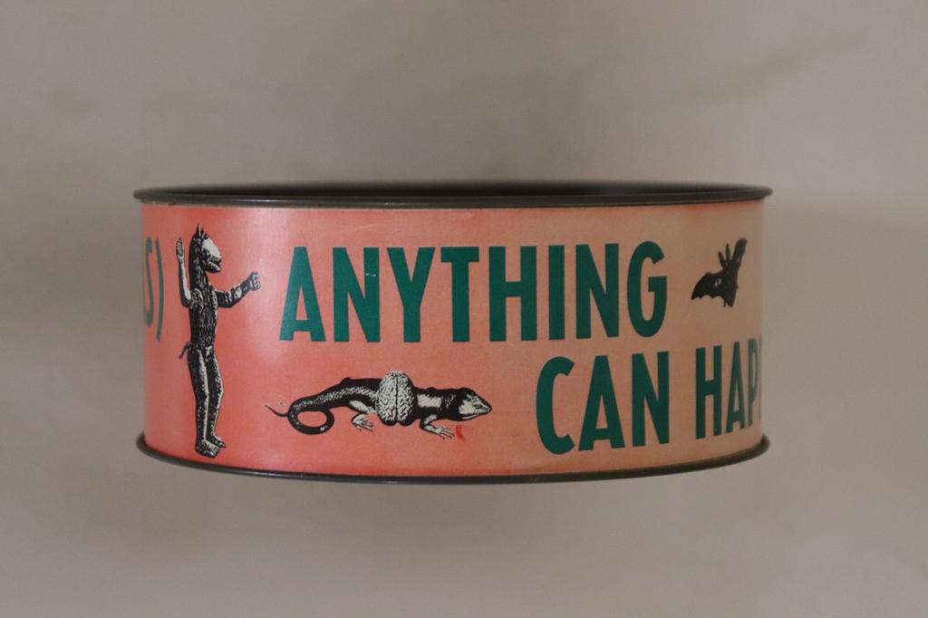 CD WAS (NOT WAS) - Anything Can Happen WASCD5 FONTANA 1988 UK Pop Used