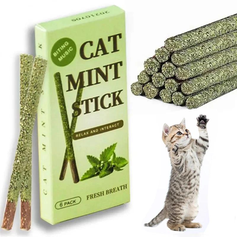 6 Stück Natürliche Matatabi Katzensticks Minze Gefangen Gebissen Aufgeregte Stöcke Silberwein Für Katzen Zahnpflege Behandeln Haustierbedarf Katzenzubehör