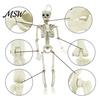 Posable Skeleton Prop for Haunted House Halloween Decoration, 3Ft Life Size Full Body Human Bone, Realistic Standing Horror Atmosphere with