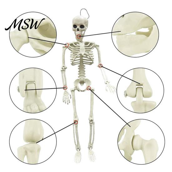 Posable Skeleton Prop for Haunted House Halloween Decoration, 3Ft Life Size Full Body Human Bone, Realistic Standing Horror Atmosphere with