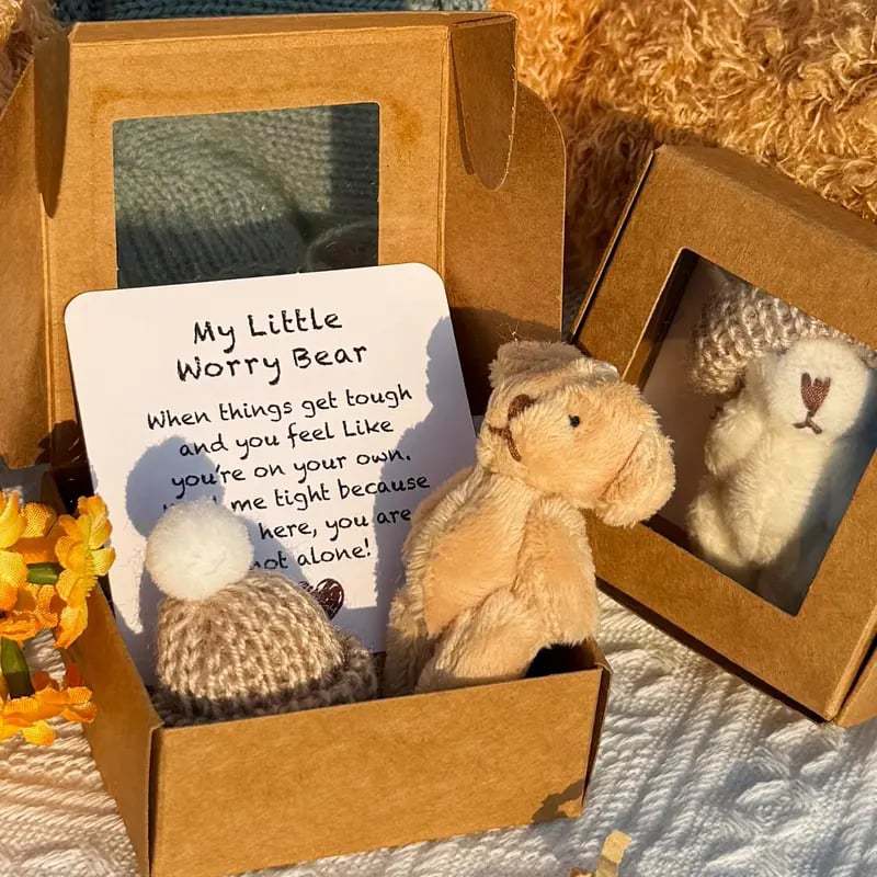 Adorable Pocket-Sized Worry Bear Plush Teddy with Encouraging Greeting Card&Gift Box Comforting Keepsake for Friends Loved Ones