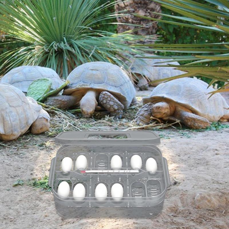 Incubadora de Cría de Reptiles 12 Rejillas Incubadora de Huevos de Tortuga Transparente Caja de Incubación de Anfibios Para Tortuga Melena de León