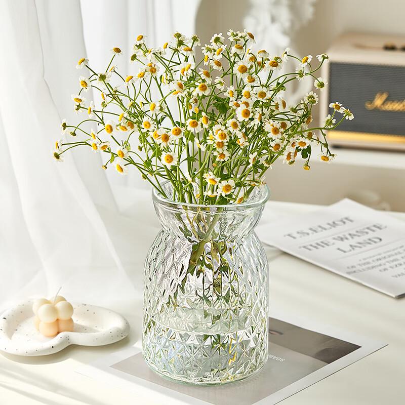 Shengshi Taibao Nordic Decorative Glass Vases