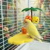 Wear Resistant Bird Perch Stand Detachable Birdcage Platform Toys Bird Gnawing Toys  For Chewing