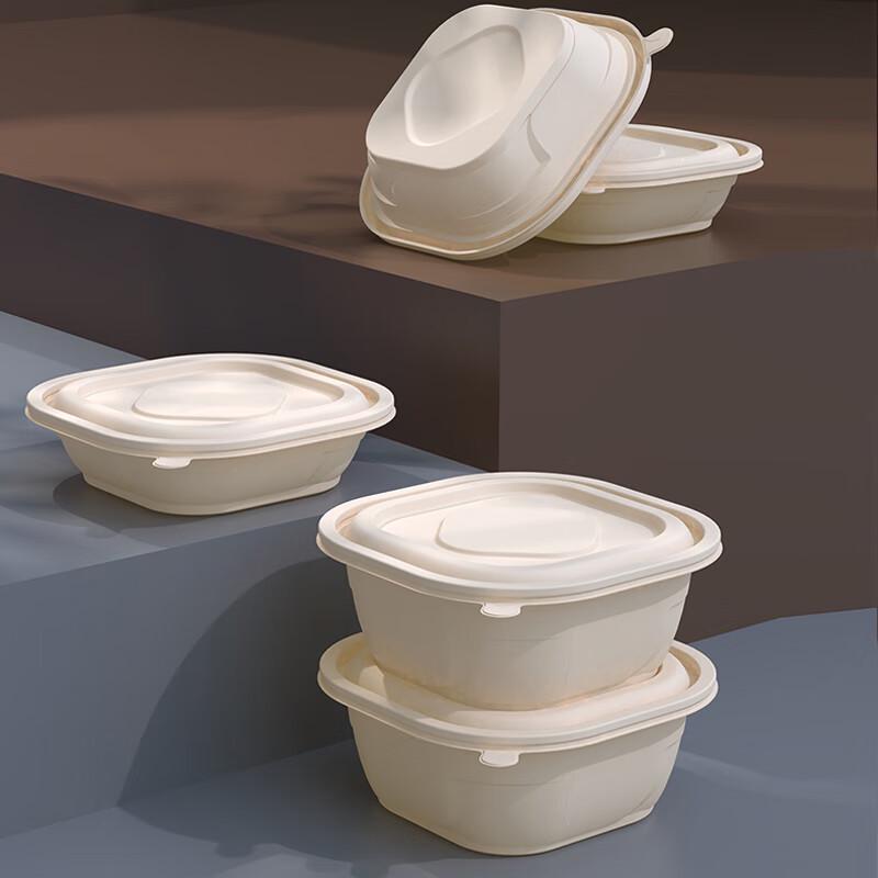 Eco-Friendly Disposable Corn Starch Takeaway Lunch Box