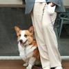 Nylon Retractable Dog Leash 3 Meters Comfortable Grip Pet Traction Rope Anti-Escape Non-Slip Handle LED Luminous Dog Leash