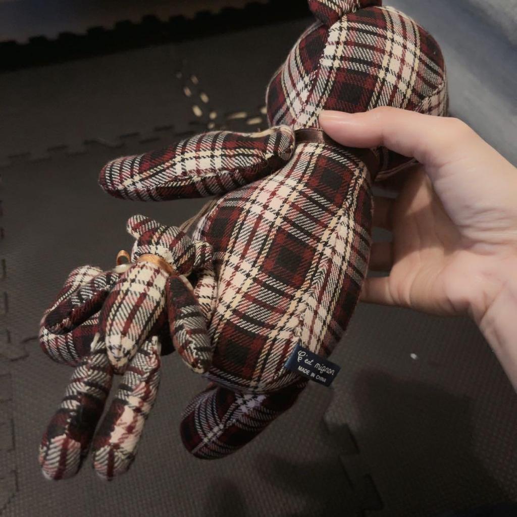 [GEBRAUCHT] Das ist ein niedliches Teddybär Kariertes Plüschtier