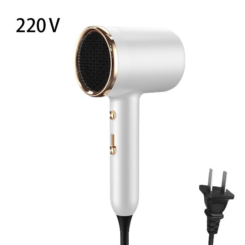 Hair 220v Dryer Fashionable 4color Tshaped Household Highpower Wind Speed