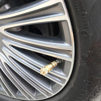 Deflators Bleeder Easy Installation Corrosion Proof Brass Reliable Tire Relief Valve for Car