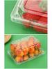 Clear Plastic Fruit & Veggie Box with Lid - Disposable and Thickened for Fresh Storage