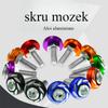 4 szt. Akcesoria do modyfikacji motocykla Okrągłe Rzeźbione Kolorowe Akcesoria samochodowe Dekoracyjne śruby do tablicy rejestracyjnej