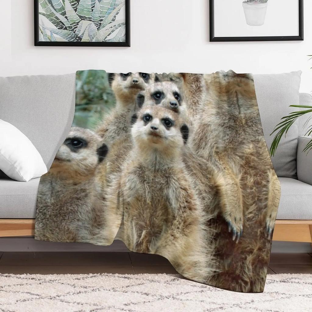 Erdmännchen 012 Kuscheldecke Warme Plüschige Flauschige Decke für das Wohnzimmer