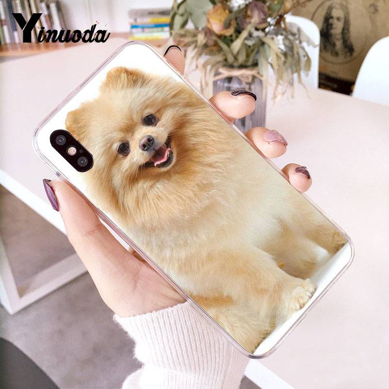 Yinuoda Pomeranian Dogs Dog Colorful Cute Phone Case for Iphone 13 8 7 6 6S Plus X 10 5 5S SE XR XS XSMAX11 11pro 11promax