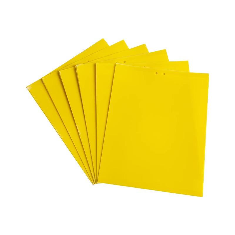 Doppelseitige gelbe und blaue Gartenbau-Klebefalle für Insekten für Gewächshäuser und Obstbäume