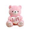 Cartoon Hugging Bear Plush Toy Sleeping Pillow - Gift Claw Machine Cloth Doll