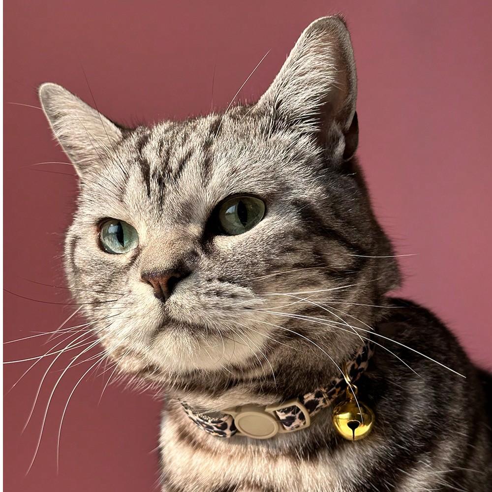 1pc Leopard Print Cat Collar With Adjustable Golden Bell For Cats And Small Dogs, Spring/Summer/Fall/Winter, Dog Stuff, Dog Collar