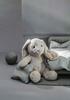 Steiff Cuddly Friends Hoppy the 080470 Japanese Rabbit, 28cm, (Official Product)