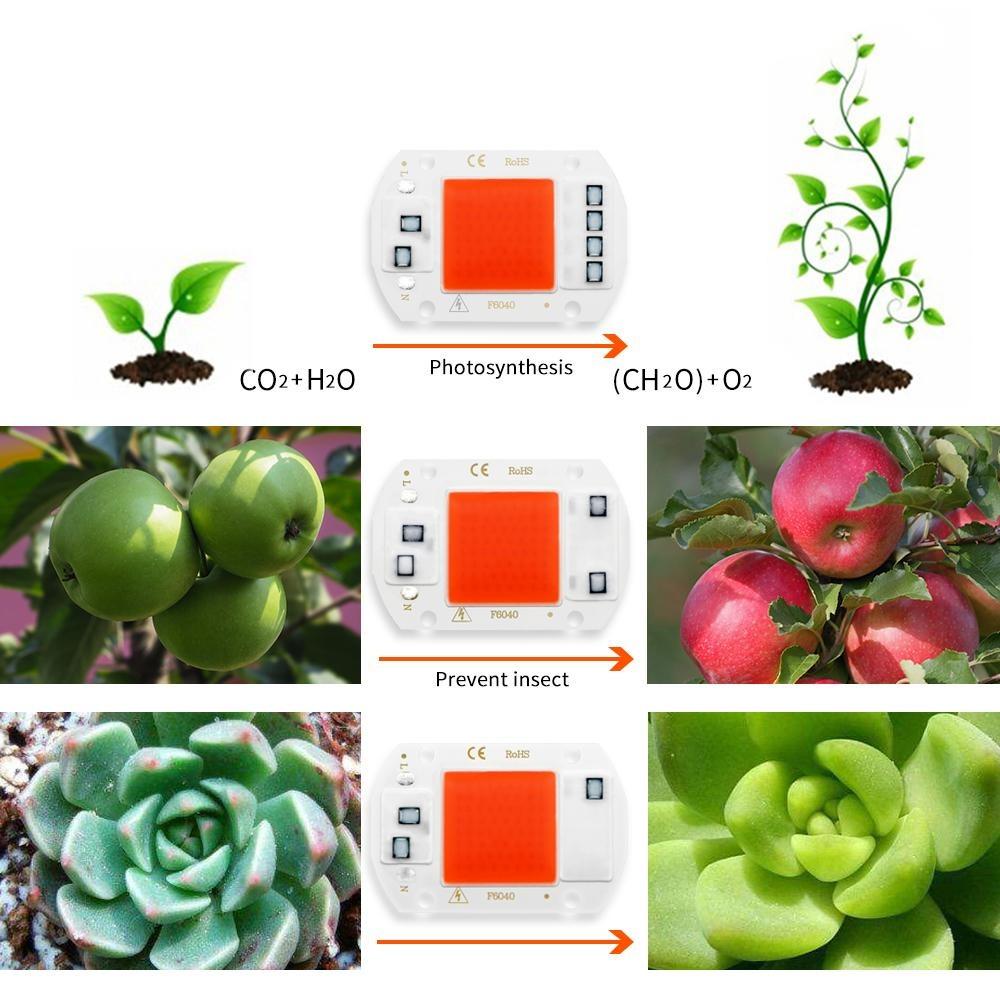 F6040 20W/30W/50W AC 220V COB Module LED Chip Diodes Lamp Bulb for Outdoor Focus Spotlight Garden Integrated Light Beads