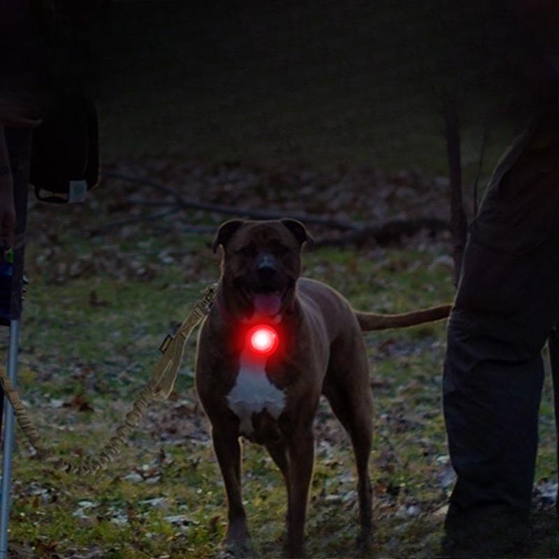 Aufsteckbares Aufladen Haustier Nacht Anti-Wandering Hundeauslauflicht LED Bunt Mehrfarbig Hund Leuchtanhänger