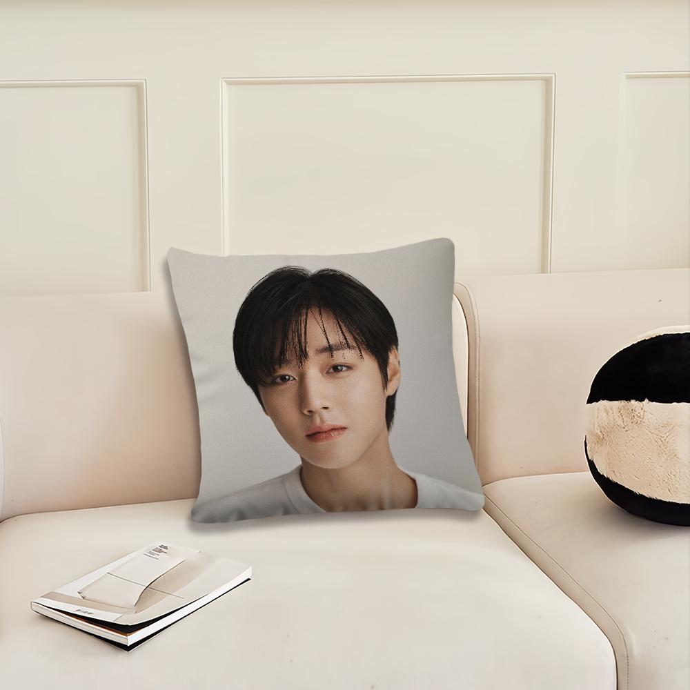 Weak H-Hero Class 2 Park Ji-Hoon cushion cover Cushion Room Bedroom Headboard Sofa Living Backrest Nap Time Pillow Case