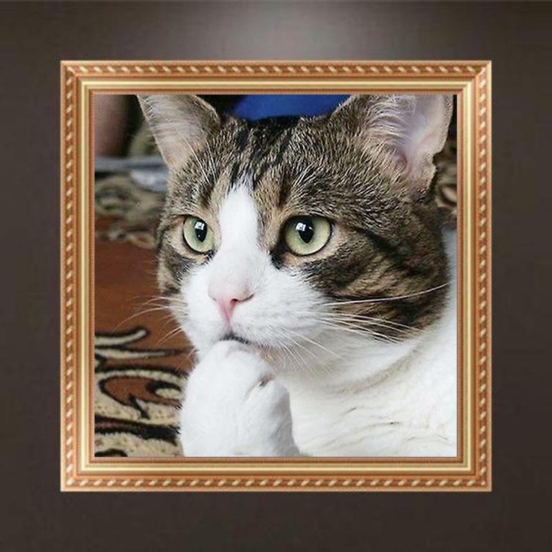 

Полный квадратный дрель DIY 5D алмазная живопись вышивка крестиком кошачья пасть вышивка мозаика дома 40*50 cm