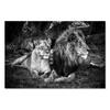 Modern Lion Family Wall Art Canvas Painting Print Posters Nature Animal Tiger Mural Pictures for Living Room Home Decoration
