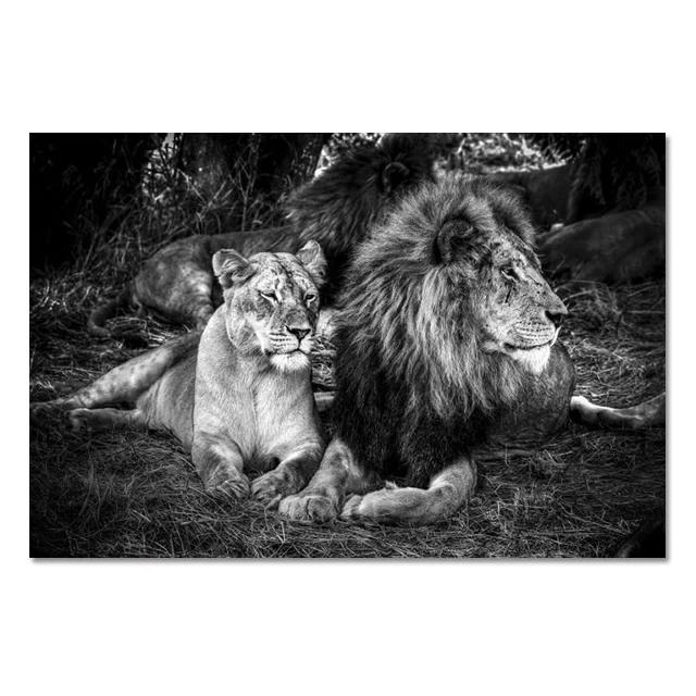 Modern Lion Family Wall Art Canvas Painting Print Posters Nature Animal Tiger Mural Pictures for Living Room Home Decoration