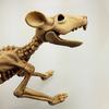 Halloween Mouse Skeleton Realistic Festival Skeleton Props Animal Skeleton
