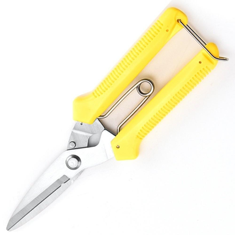 Stainless Steel Gardening Pruning Shears Precision Cutting Hand Pruner Branch Shears  Fruit Tree