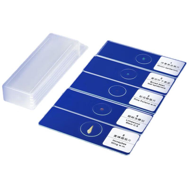 AOSVI Microscope Specimen Slide Set