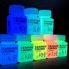 58 ml Fluoreszierendes Acrylpigment Leuchtpigment Leuchtet im Dunkeln Handbemalt DIY Festival Party Wand Lichtabsorbierendes Pigment
