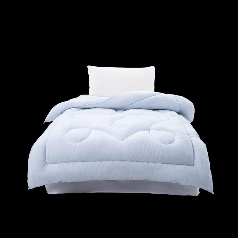 

Mercury Home Textiles All-Season Polyester Quilt