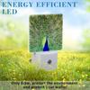 Night Light for Kids Girls Boys, Magnificent Peacock LED Night Light Plug Into Wall with Dusk To Dawn Sensor for Room Decor, Hallway, Kitchen,