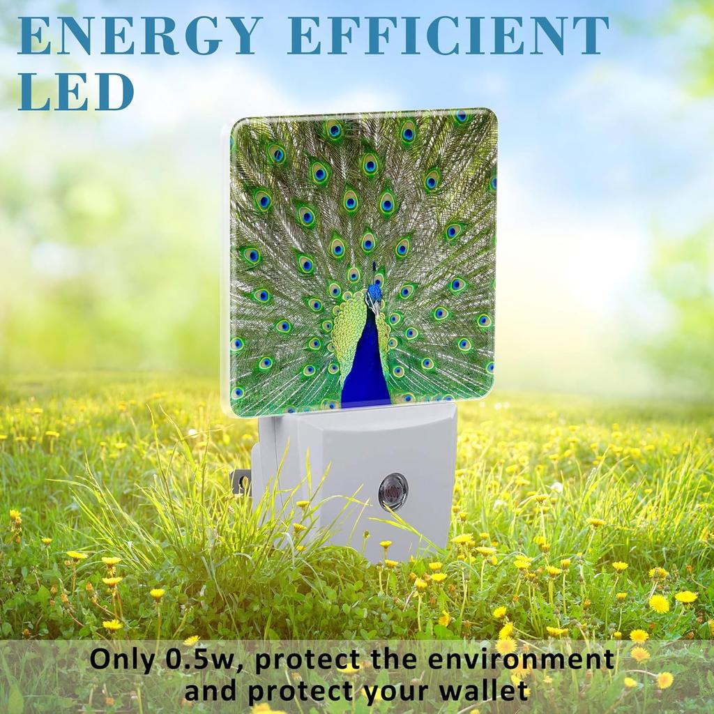 Night Light for Kids Girls Boys, Magnificent Peacock LED Night Light Plug Into Wall with Dusk To Dawn Sensor for Room Decor, Hallway, Kitchen,