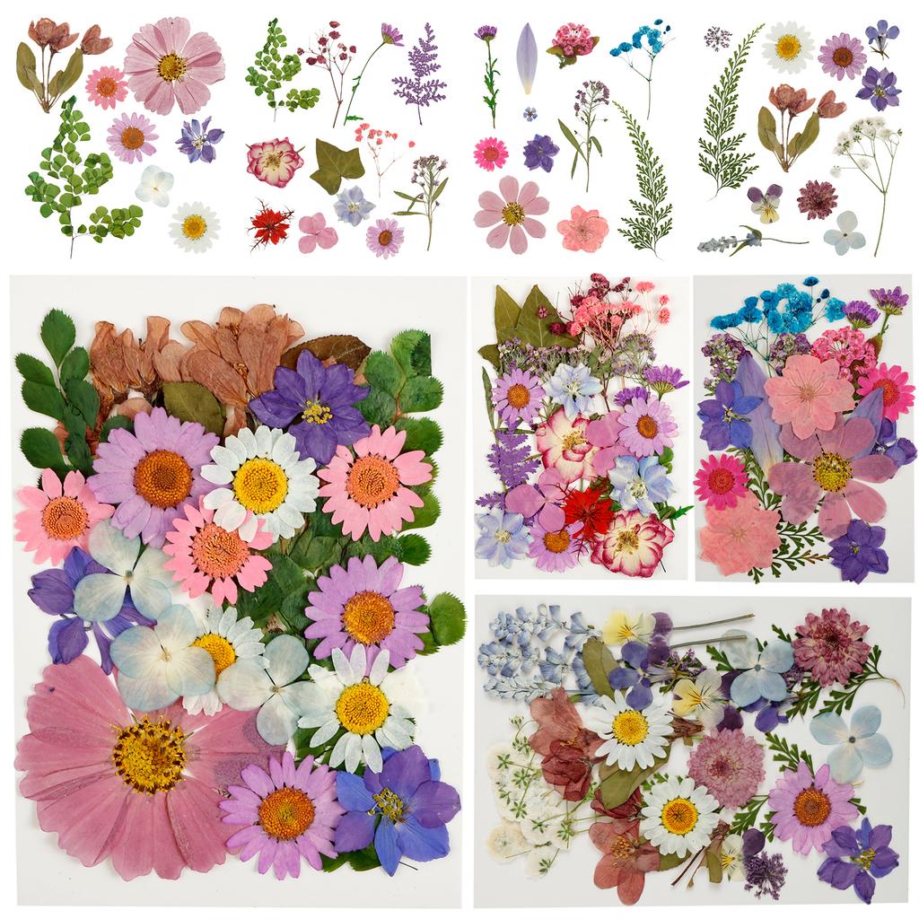 4Sheets Dried Flower DIY Bulk Scrapbooking Pressed Flower Resin Art Crafts Natural Dry Pressed Flowers Decor for Ornament Making
