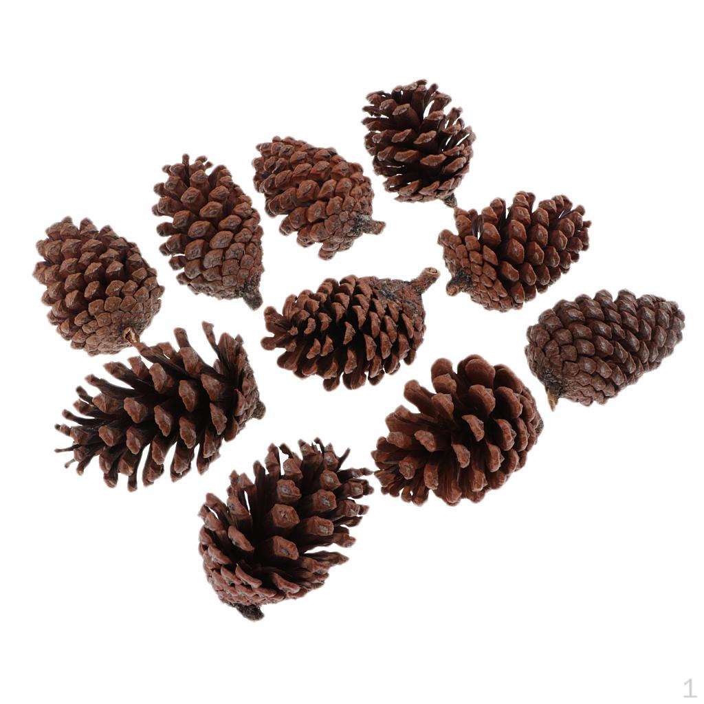 

10 Large As Decorative Elements C 6-8CM