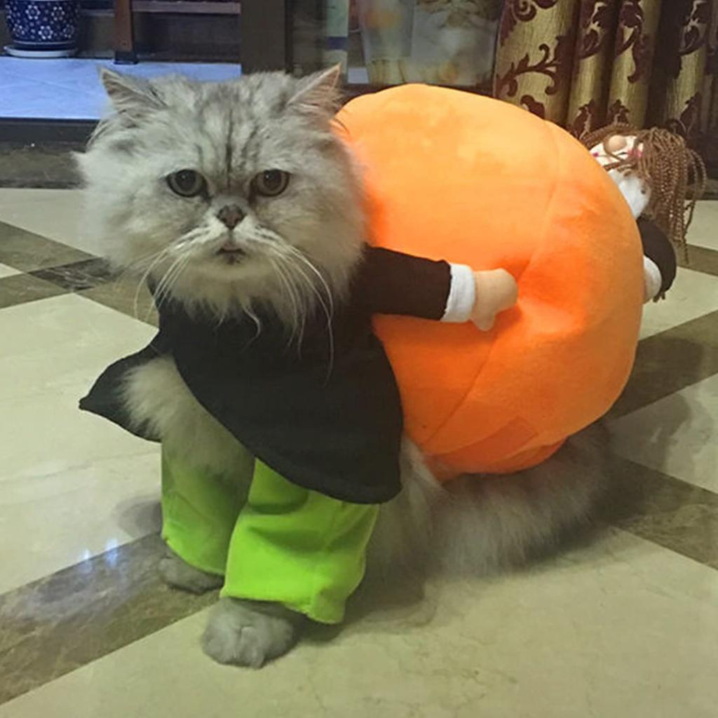 Halloween Pumpkin Dog Costume, Funny Pet Costume, Dog And Cat Costume, Halloween Party Decoration Set, Holiday Costumes