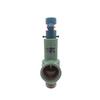Chiweng A28H-16 Spring Safety Valve for Boilers