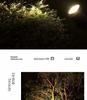 LED Waterproof Outdoor COB Spotlight for Trees and Gardens