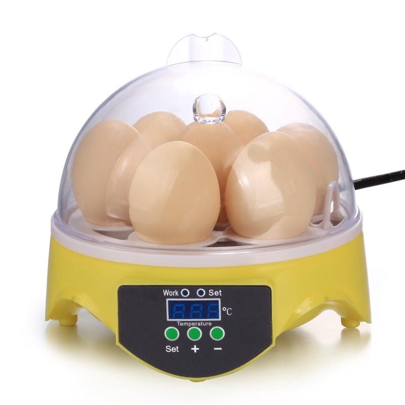 7 Eggs Capacity Incubator Mini Egg Incubator Brood Machine Chicken Duck Hatcher Electronic Automatic Incubator Brooder New