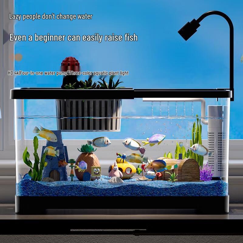 SEE KEAN Deluxe Desktop Aquarium-Set